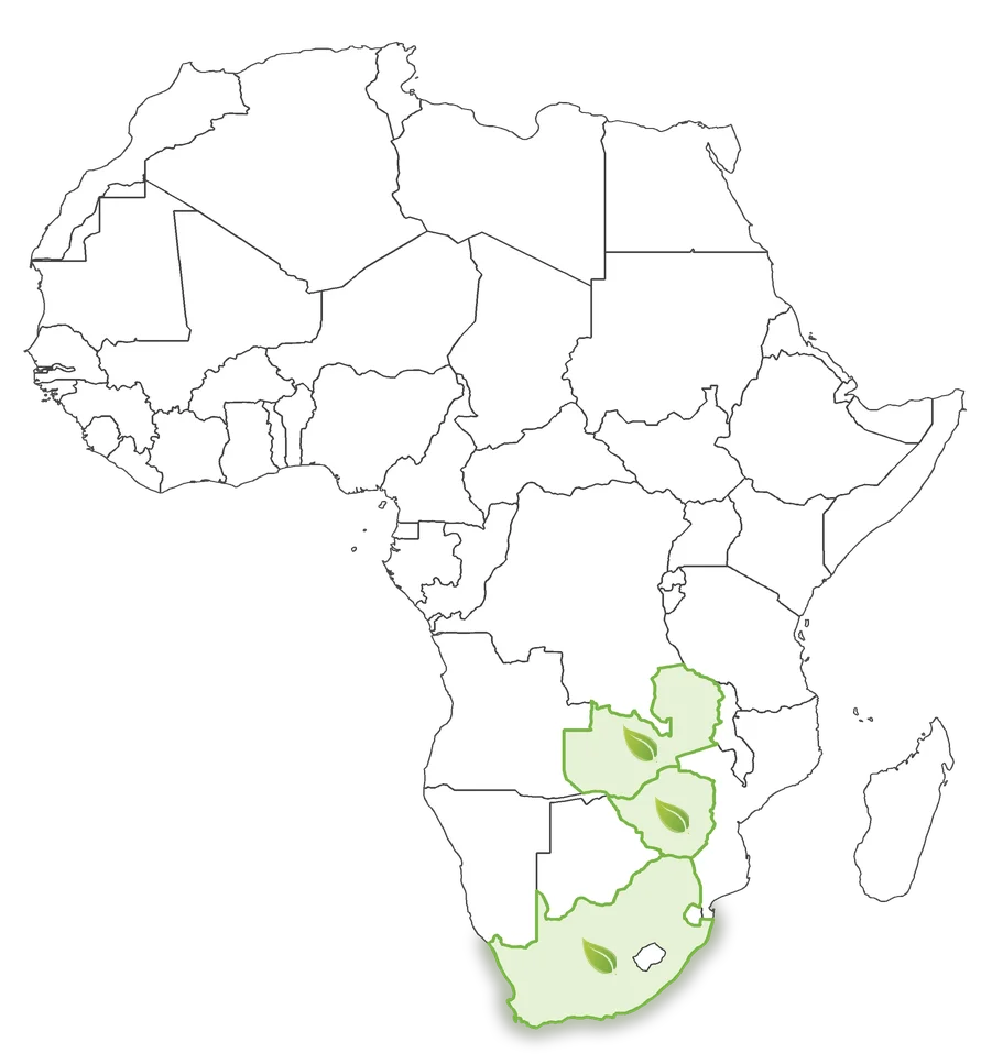 Map of the Green Leaf project footprint